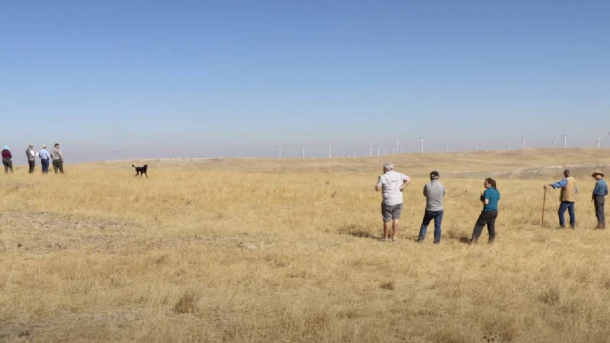 The Bureau of Land Management hosted a field tour in October for the proposed Lava Ridge Wind Project where participants visited existing wind turbines situated on private land near Hagerman, Idaho.