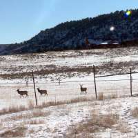 Utah's attempts to dismiss Ute Tribe's lawsuit a continuation of ongoing discrimination, tribe says