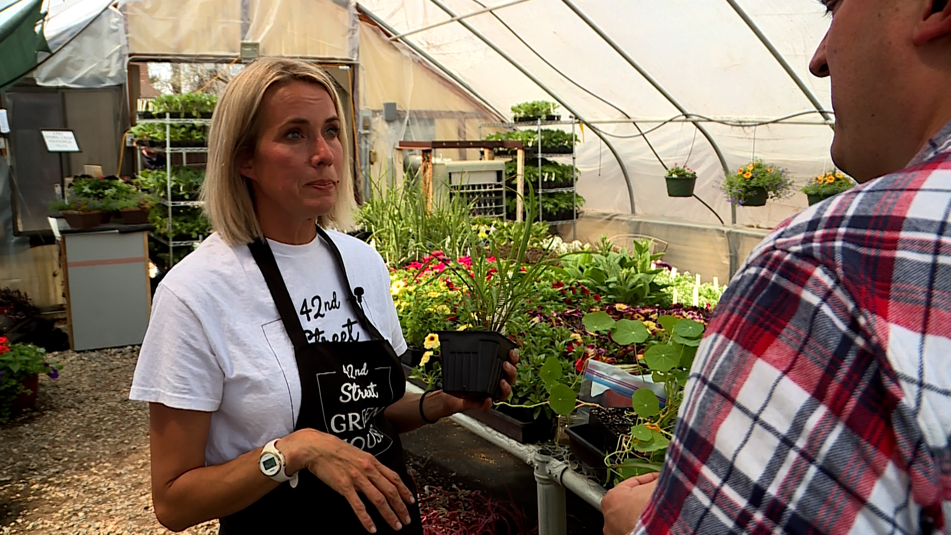 Cynthia Stringham, owner of 42nd Street Greenhouse, explains to KSL’s Matt Gephardt how growing herbs can be a good cost saver for backyard gardeners.