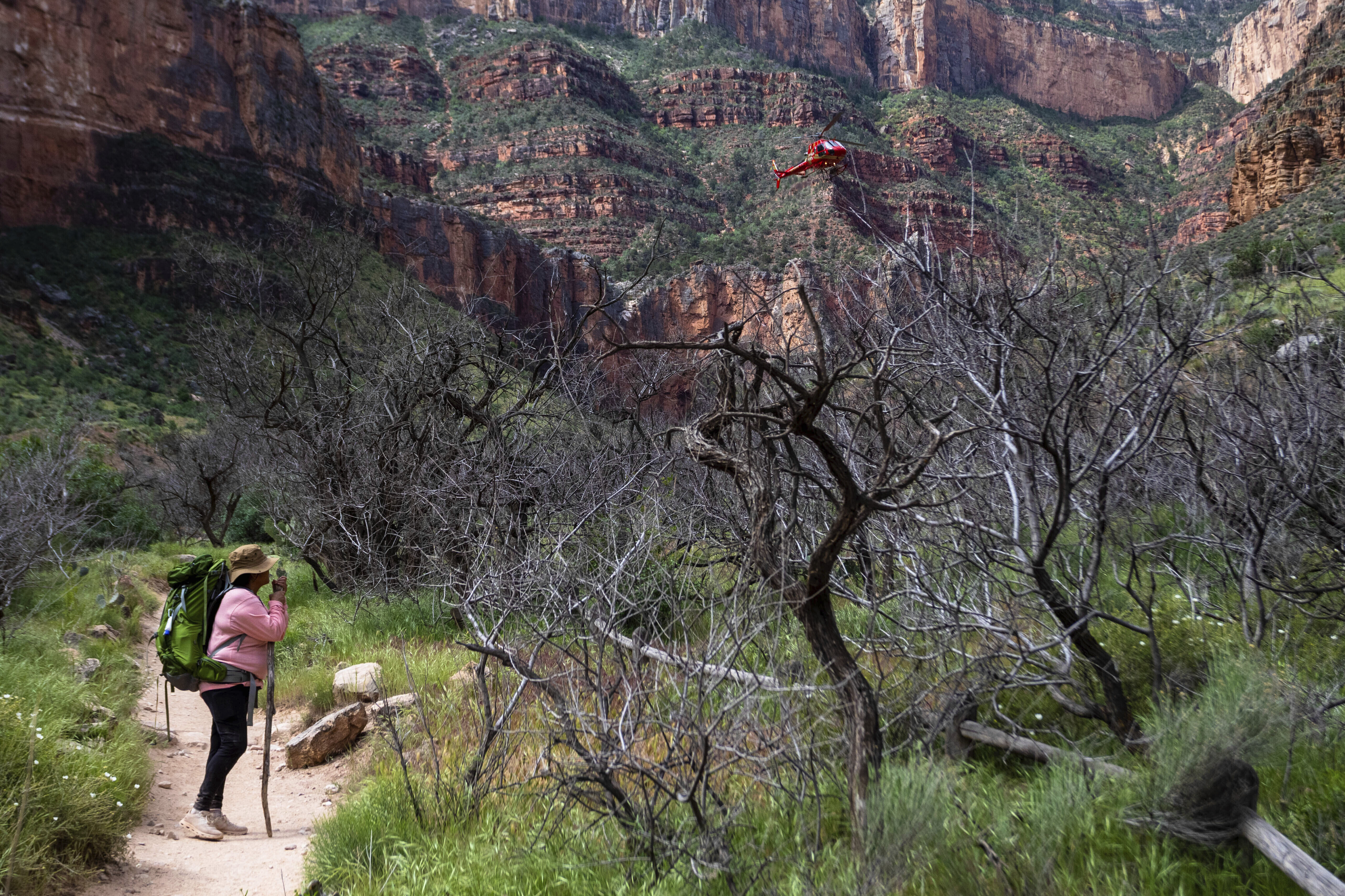Carletta Tilousi watches as a helicopter carrying fellow Havasupai tribal members prepares to land in the Grand Canyon on May 5. The tribe marked the renaming of a popular campground from Indian Garden to Havasupai Gardens.