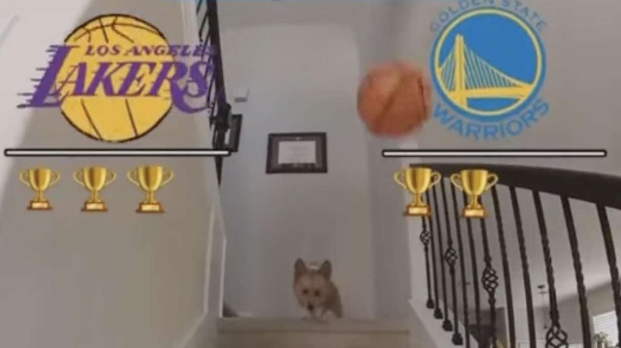 A corgi is going viral after correctly predicting the winner of the first five games in the Lakers-Warriors second round playoff series.