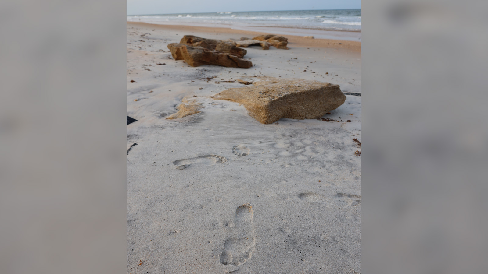 Human DNA was recovered from a footprint on a Florida beach, new research shows.