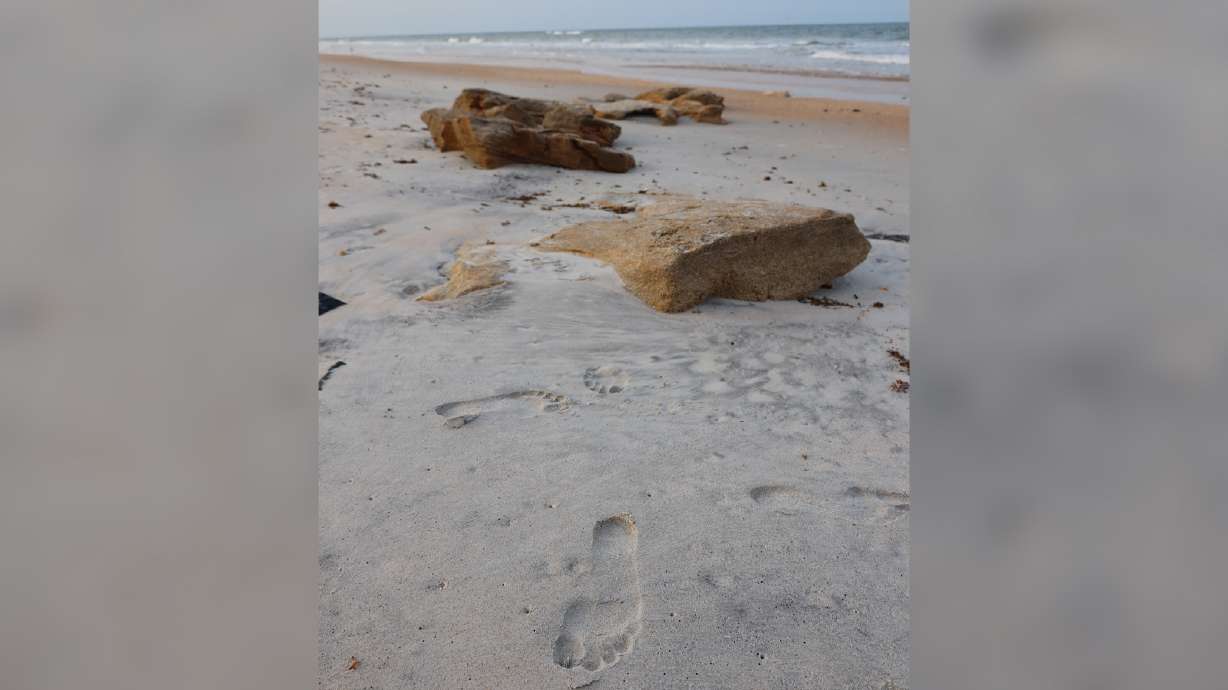 Human DNA was recovered from a footprint on a Florida beach, new research shows.