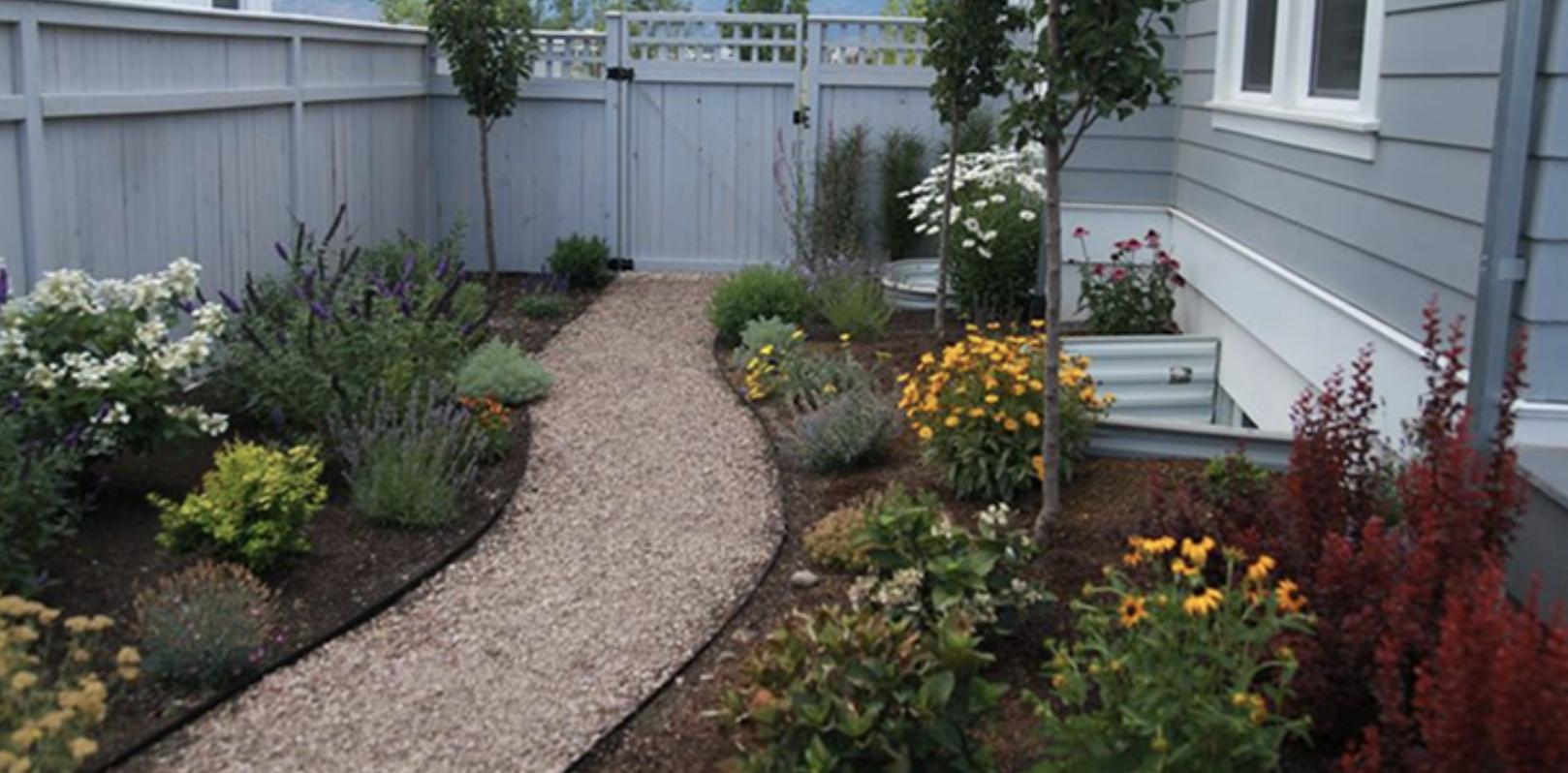 5 ways to create a water efficient yard