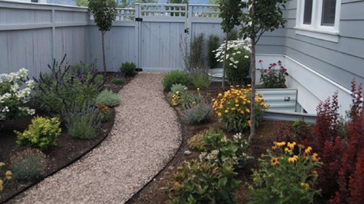 5 ways to create a water efficient yard