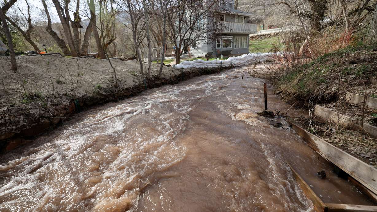 Water levels are high in Emigration Creek in Emigration Canyon on May 2. Joel Ferry, director of the Utah Department of Natural Resources, said flooding could pick up in the coming weeks, especially in northern Utah.