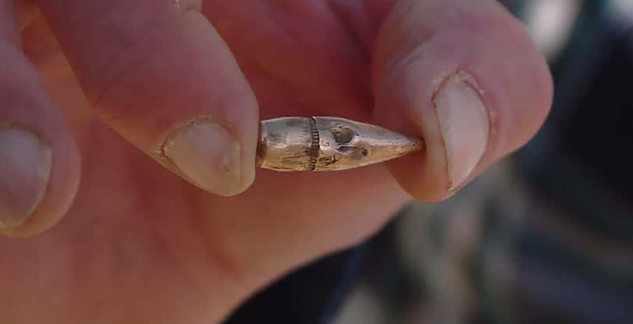 Genola residents concerned about target shooting after finding bullets ...