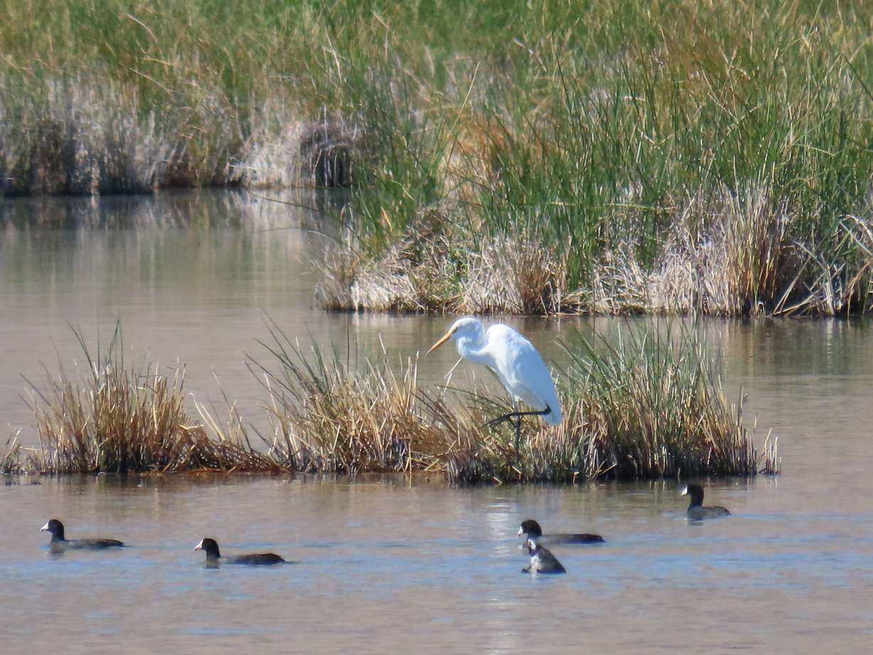 Utah Adventures with Maverik: Find adventure, history on the Pony Express Trail