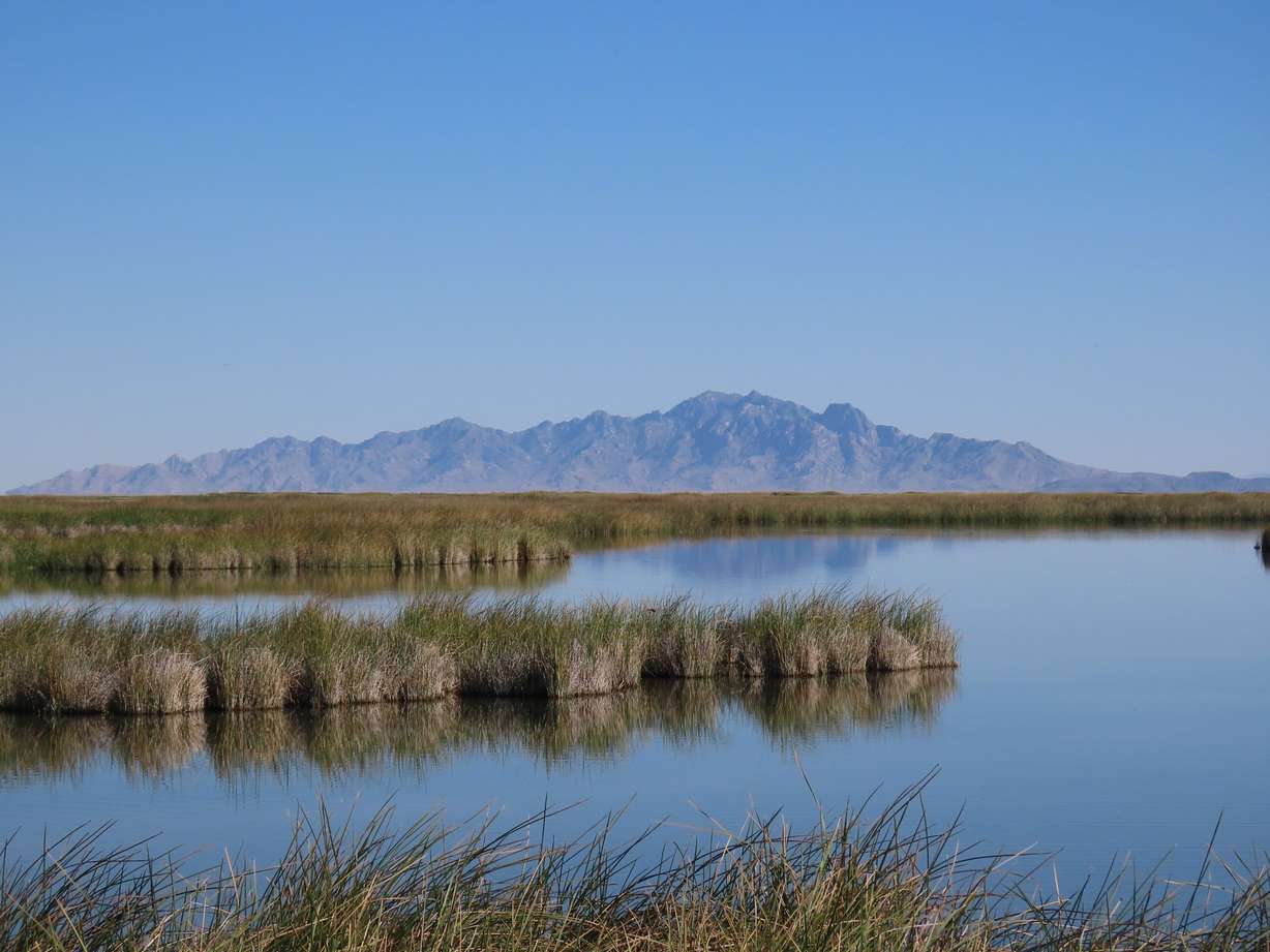 The Fish Springs Pony Express station was literally an oasis in the desert.