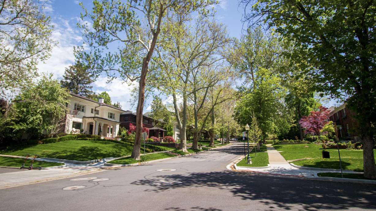 A street in Salt Lake City's Federal Heights neighborhood is pictured on Tuesday. The neighborhood is the focus of this year's Preservation Utah Historic Homes Tour.