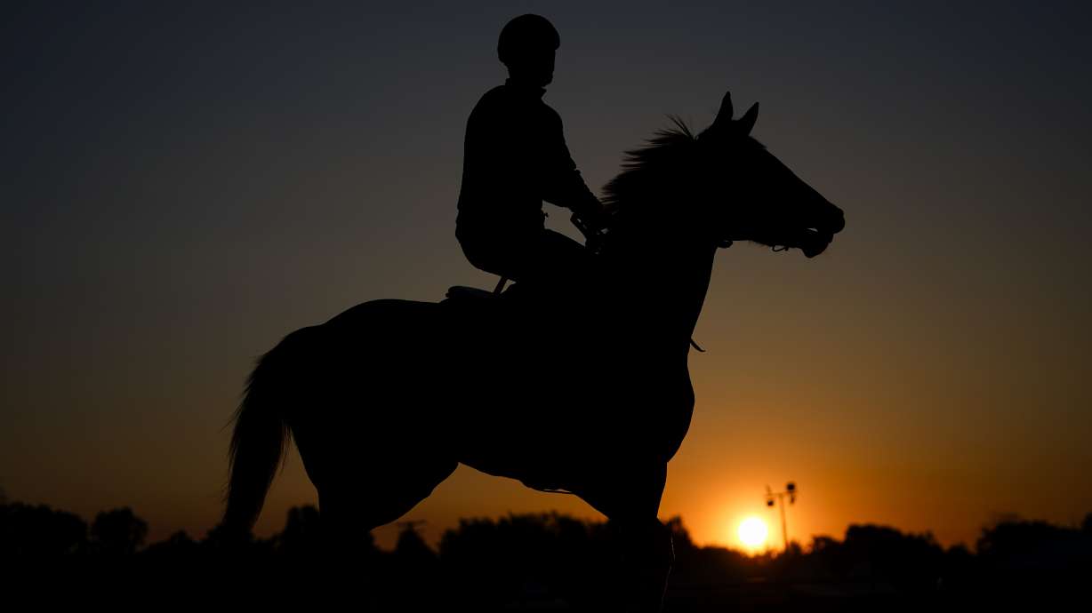 An outrider walks a horse on the track as horses work out ahead of the 148th running of the Preakness Stakes horse race at Pimlico Race Course, Thursday, May 18, 2023, in Baltimore.