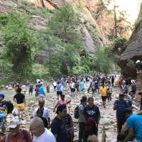 Zion among national parks being 'loved to death'; public encouraged to visit lesser-known parks