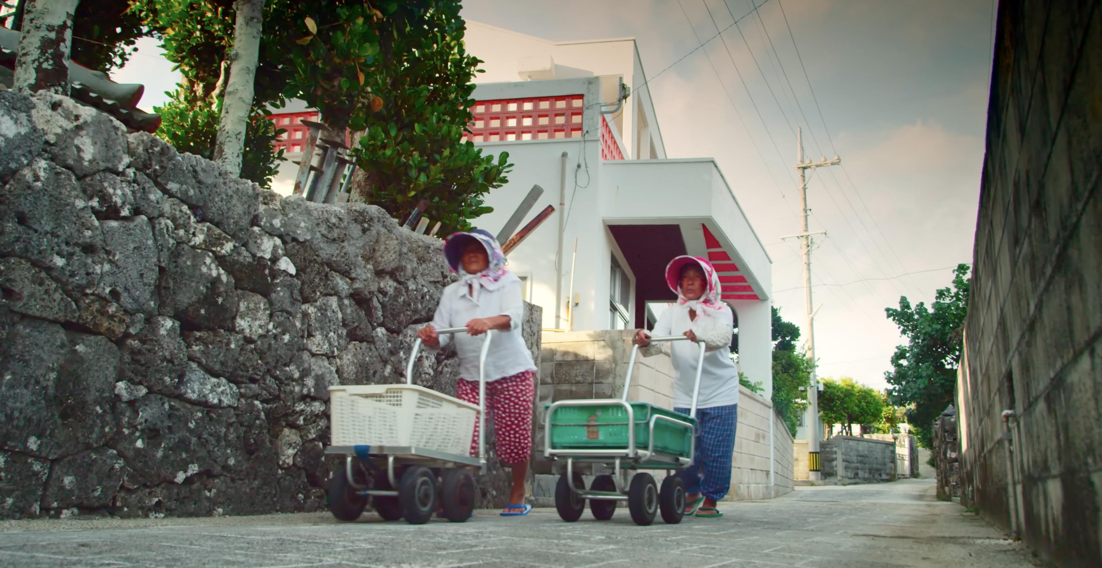 The 70-year-old duo of Yoko and Setsuko use centuries of knowledge to hunt sea snakes on their tiny island home of Kudaka off the southeast coast of Japan.