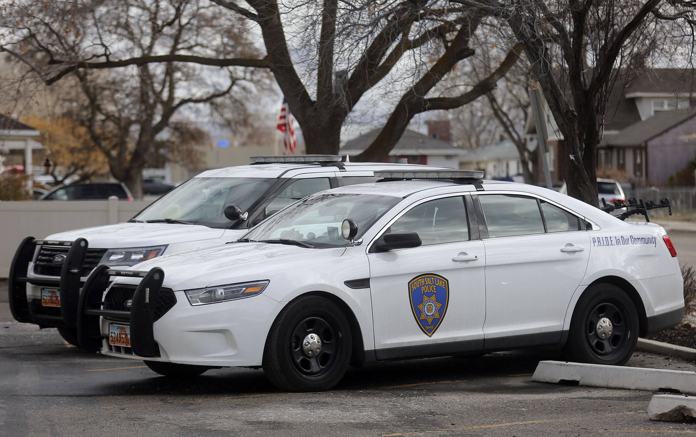 South Salt Lake police have arrested a man who allegedly was in possession of a child sex doll.