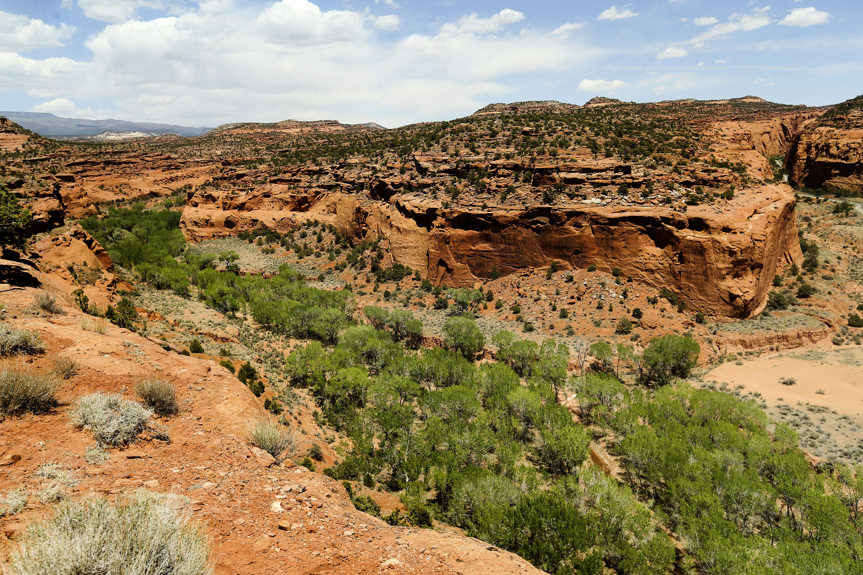 A section of the Grand Staircase-Escalante National Monument is pictured May 14, 2021. Utah Rep. John Curtis is the sponsor of a bill that would require the Bureau of Land Management to withdraw a proposed conservation rule.