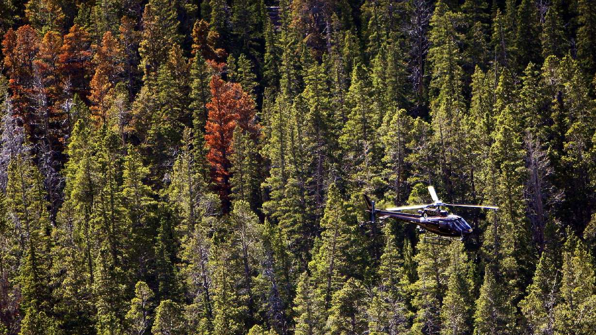A Utah Department of Public Safety helicopter flies over Spirit Lake and Daggett Lake area on Aug. 12, 2011. Search and rescue teams on Sunday searched for a possible missing plane in Daggett County but found no sign of one.