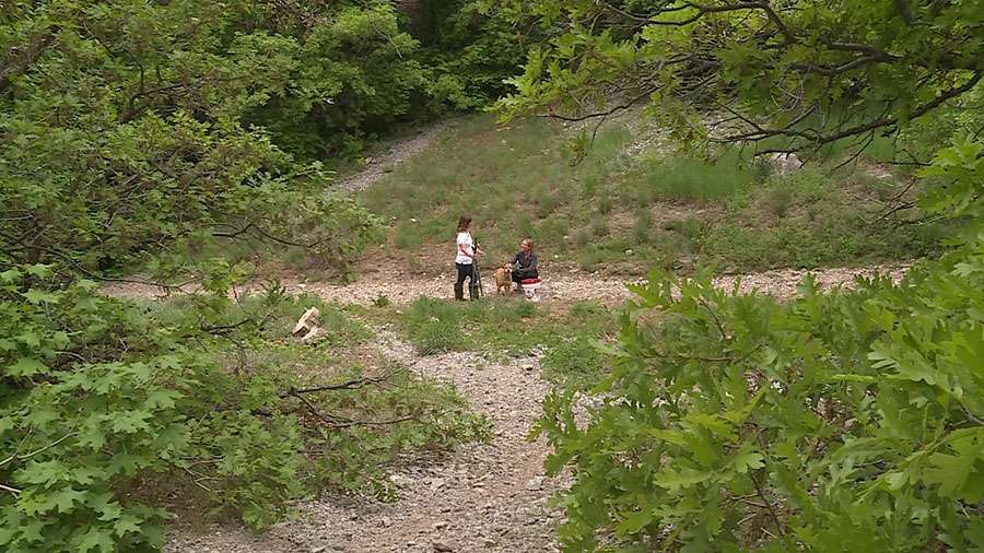 Kim Beck hikes up a trail with long metal pole tools and a bucket that said "Danger: Venomous Reptiles" on the side. She spoke to a woman about the snake found on the trail on Sunday.
