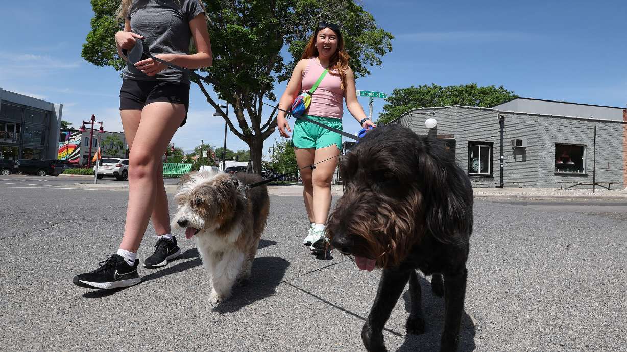 Sydney Gillies and Jo Jo Pack walk their dogs in the 9th and 9th area of Salt Lake City on Wednesday. Last month was Salt Lake City's warmest May on record.