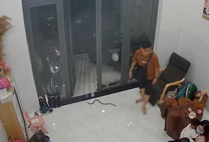 A snake enters this Vietnam home, almost completely unnoticed.