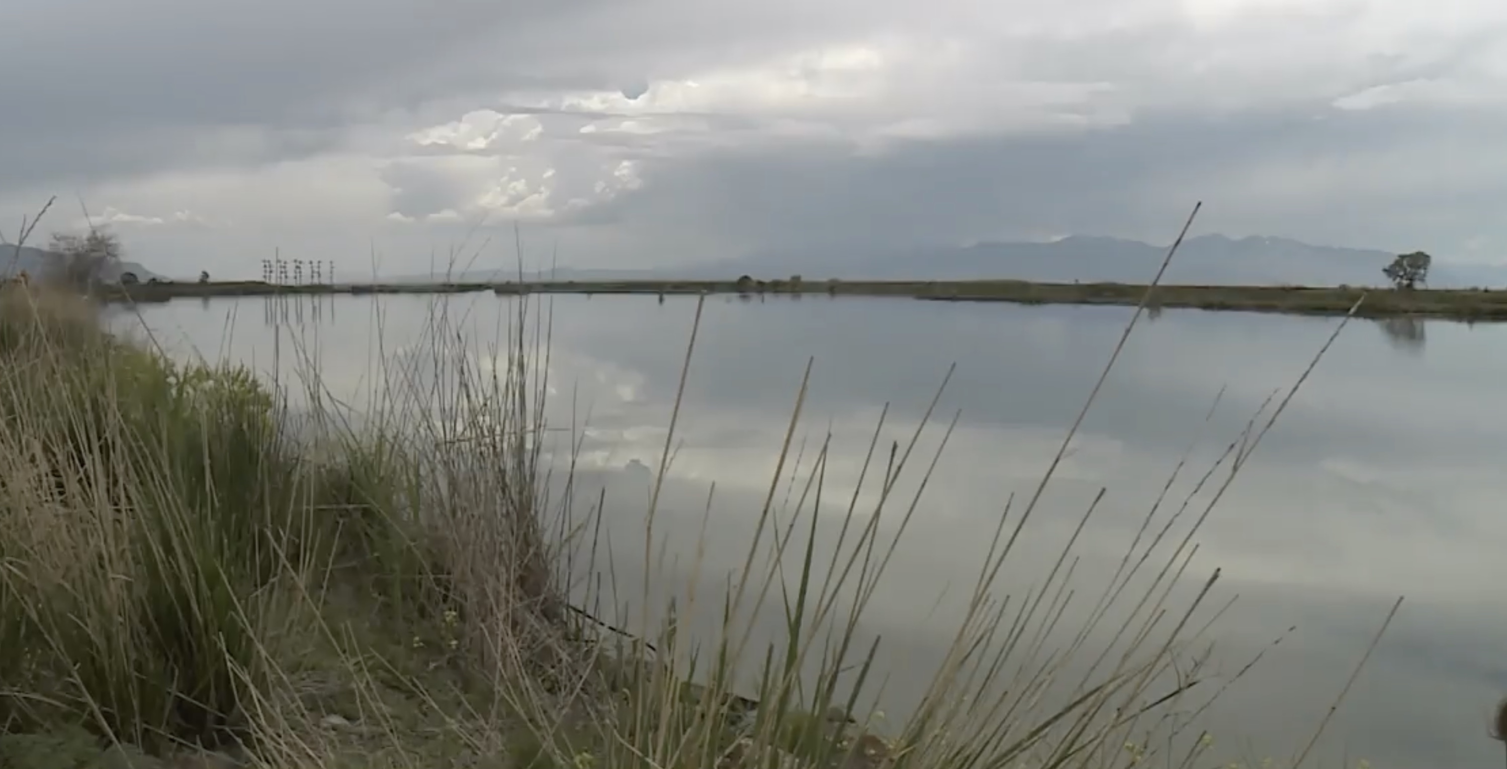 Mosquitoes are likely to be a big problem this summer, thanks to all of that much-needed water we now have.