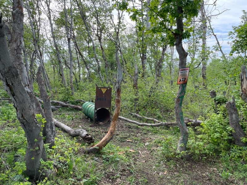 A photo of the trap that state wildlife biologists set up near Buckland Flats Campground in a canyon above Bountiful Thursday after a man reported a bear encounter at a campsite in the canyon.