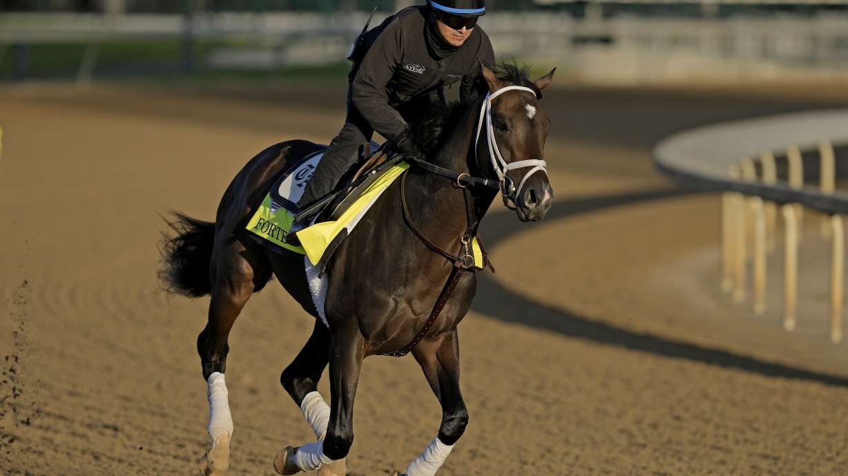 FILE - Kentucky Derby hopeful Forte works out at Churchill Downs on May 2, 2023, in Louisville, Ky. Forte, the Kentucky Derby favorite who was scratched the morning of the race because of a foot injury, had his final workout Saturday, June 3, for next weekend's $1.5 million Belmont Skates.