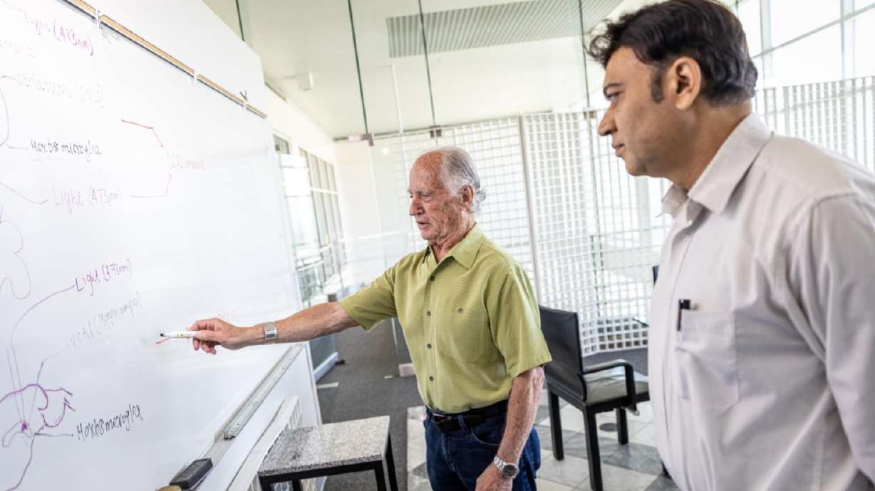 Scientists Mario Capecchi, left, and Naveen Nagarajan discovered that brain cells called the microglia were the source of a mutation in a gene called Hoxb8 — a gene that caused mice to exhibit anxiety-related and obsessive-compulsive behaviors.