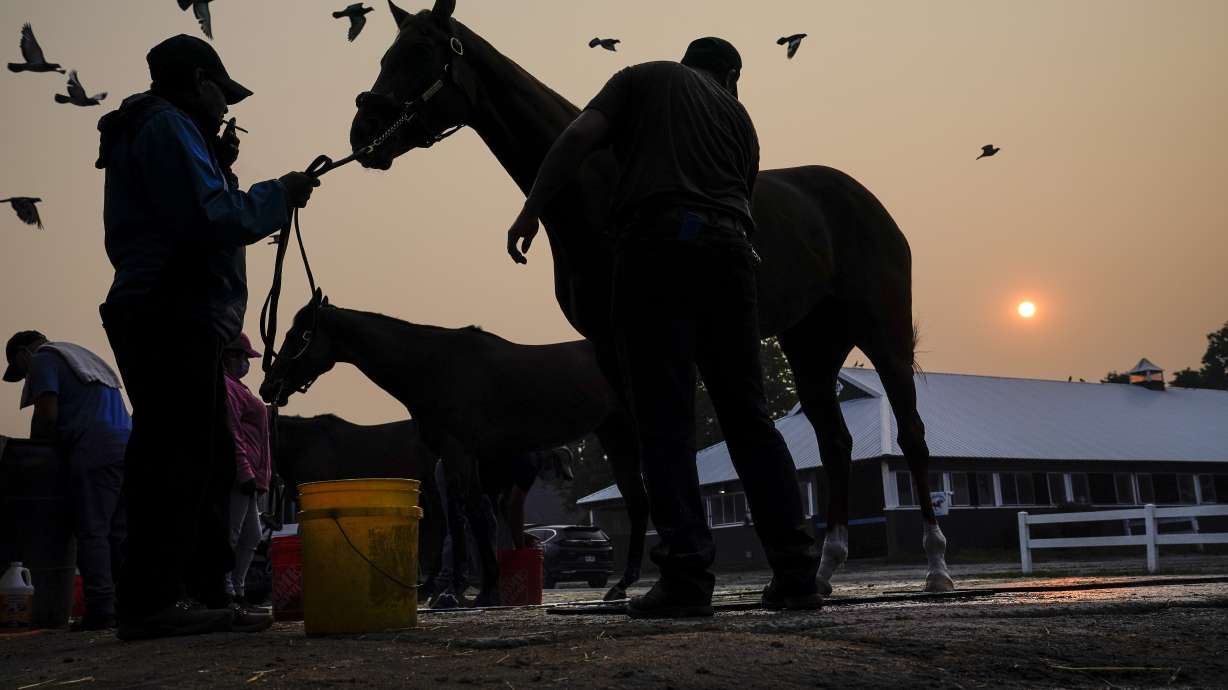 The sun is obscured by haze caused by northern wildfires as horses are bathed ahead of the Belmont Stakes horse race, Thursday, June 8, 2023, at Belmont Park in Elmont, N.Y. Training was cancelled for the day due to poor air quality.