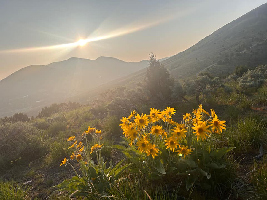 Chinese Peak near Pocatello is a great place to hike. EastIdahoNews.com compiled a list of some popular hikes in Idaho that readers said they enjoyed.