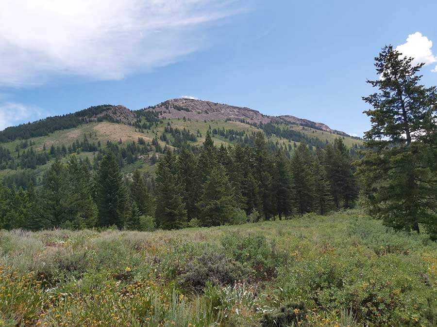 Scout Mountain Nature Trail is a great place to hike. EastIdahoNews.com compiled a list of some popular hikes in Idaho that readers said they enjoyed.