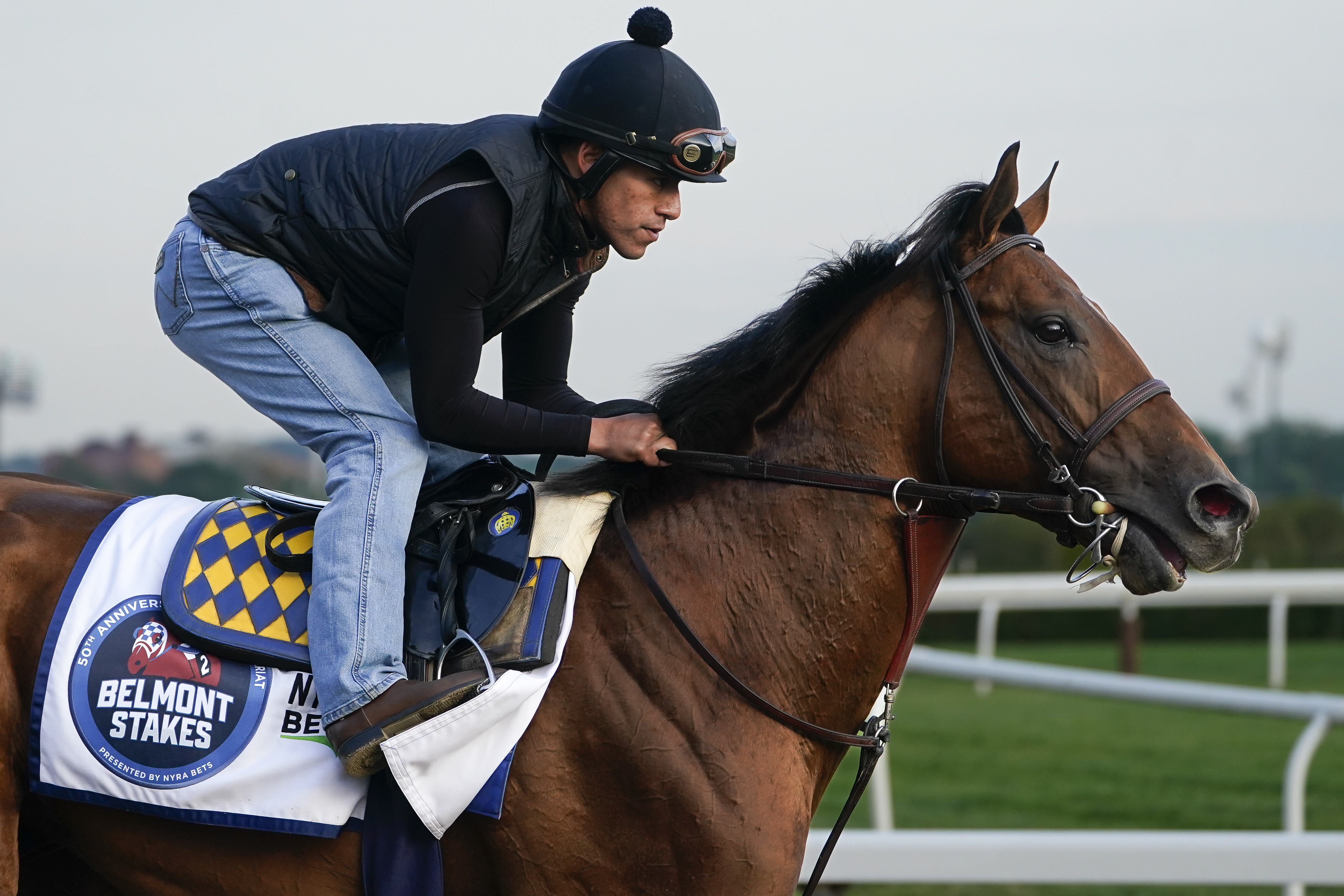 National Treasure trains ahead of the Belmont Stakes horse race, Friday, June 9, 2023, at Belmont Park in Elmont, N.Y.