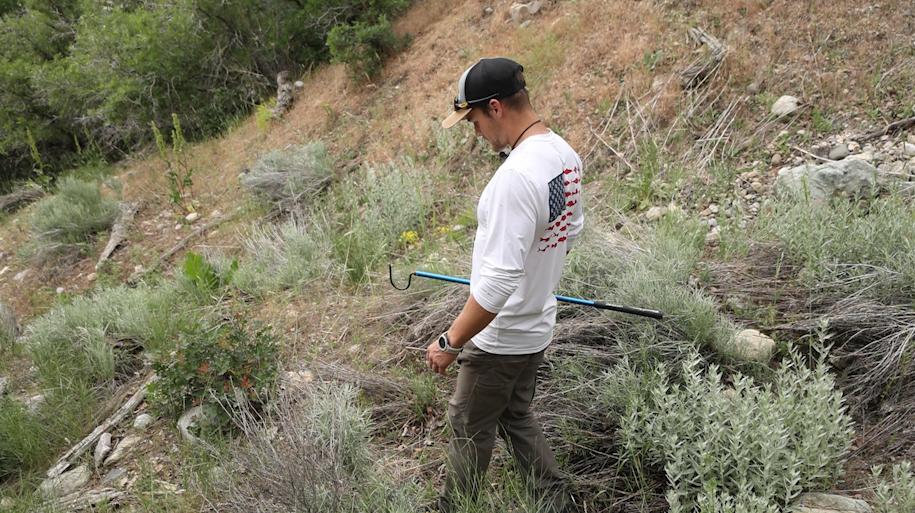Eric Januszkiewicz searches for Great Basin Rattlesnakes on a hillside in Cottonwood Heights Thursday.