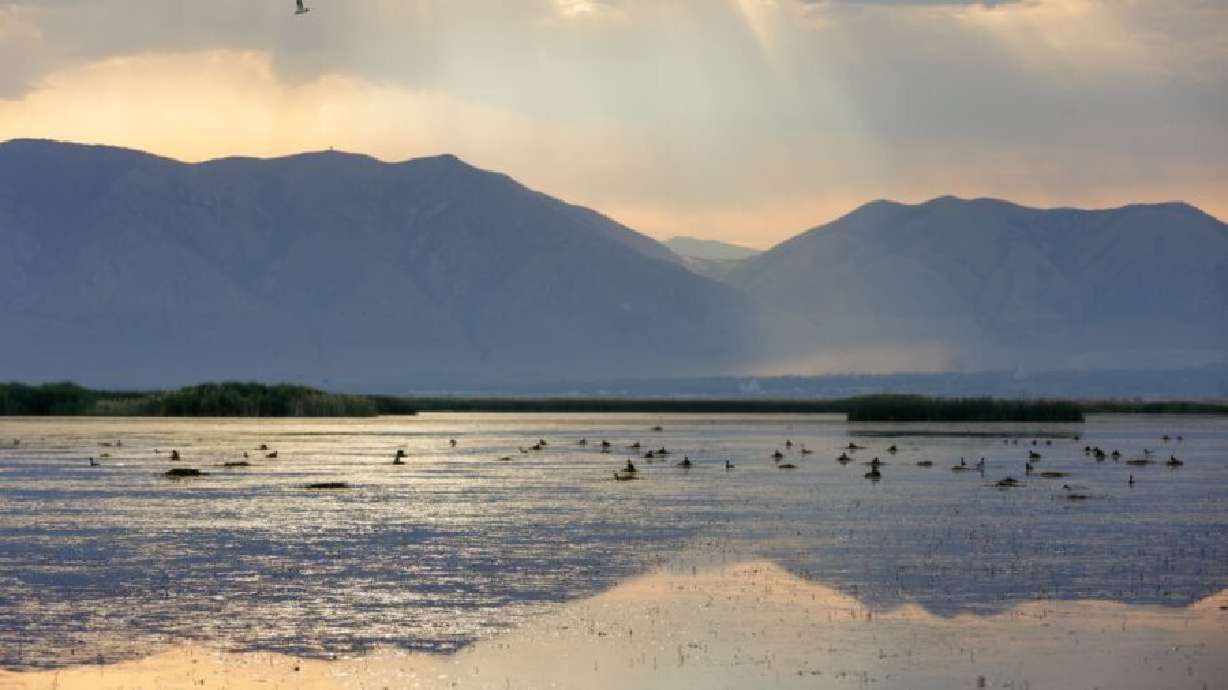 Utah's brine shrimp harvesters are breathing a sigh of relief from all the water making its way to the Great Salt Lake this year.