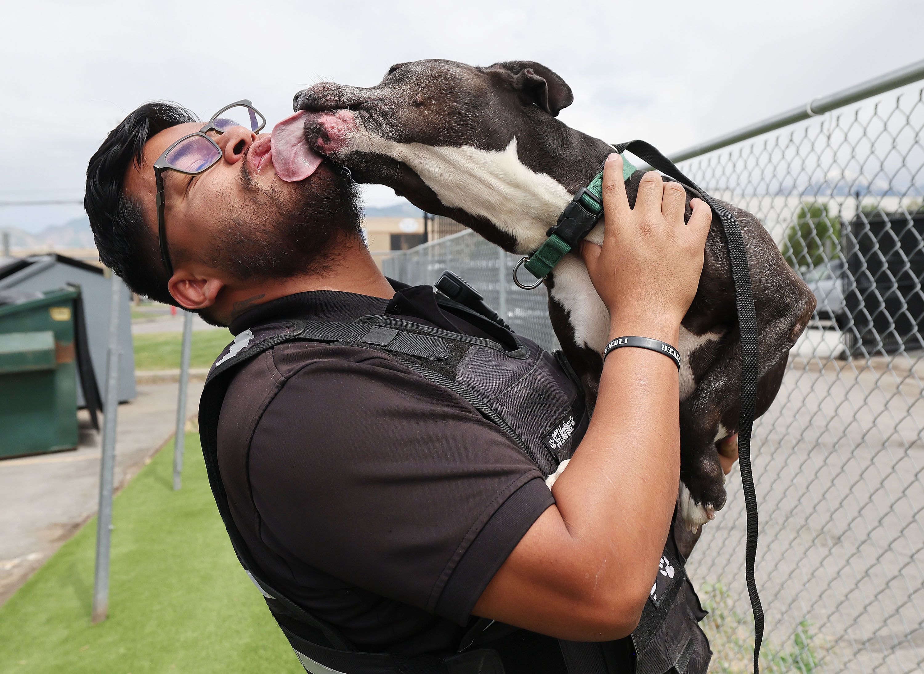 Salt Lake County Animal Services Sgt. Jose Martinez plays with a dog waiting to be adopted in Salt Lake City on Thursday. Best Friends Animal Society reports that Utah has 13 kill shelters. Salt Lake County Animal Services is a no-kill shelter.