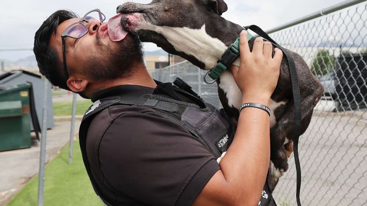 Salt Lake County Animal Services Sgt. Jose Martinez plays with a dog waiting to be adopted in Salt Lake City on Thursday. Best Friends Animal Society reports that Utah has 13 kill shelters. Salt Lake County Animal Services is a no-kill shelter.