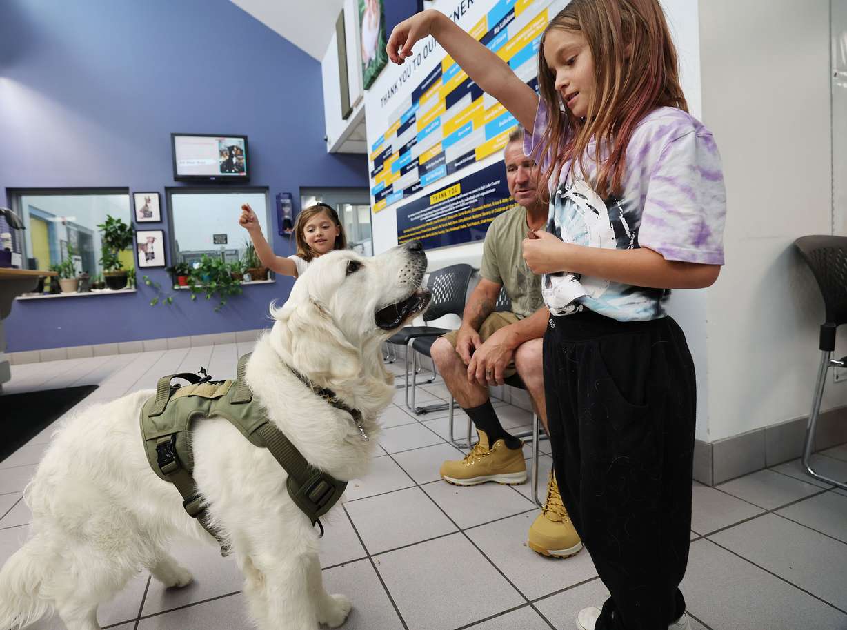 Savannah Wells and Lexie Sides play with their dog at Salt Lake County Animal Services in Salt Lake City on Thursday. Best Friends Animal Society reports that Utah has 13 kill shelters. Salt Lake County Animal Services is not a kill shelter.
