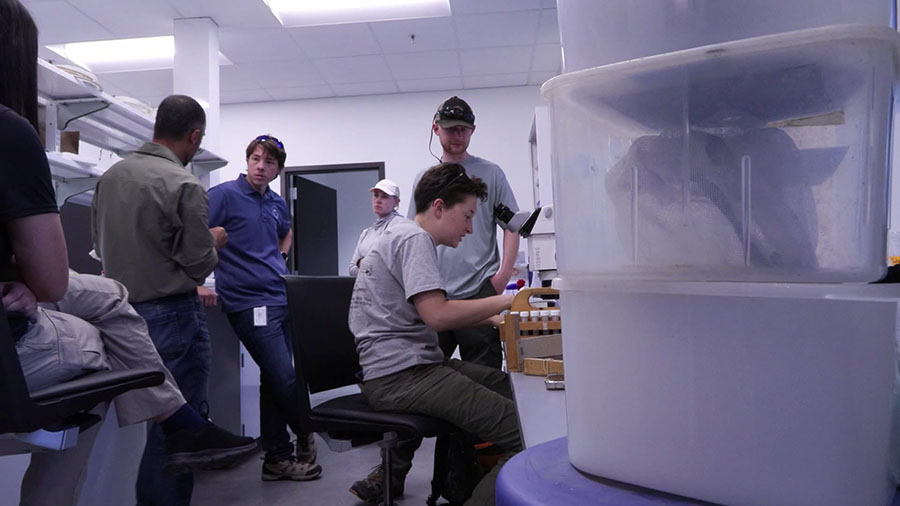 A group of Utah scientists flew to Africa on Monday as some of the first to work on anti-malaria in Mali, Africa.