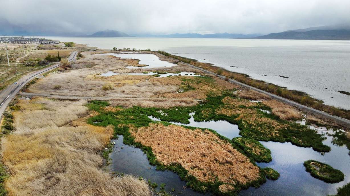 Wetlands on the shore of Utah Lake are pictured on May 3, 2022. A company behind the proposal to dredge Utah Lake and create 18,000 acres of islands, announced its dissolution on Tuesday.