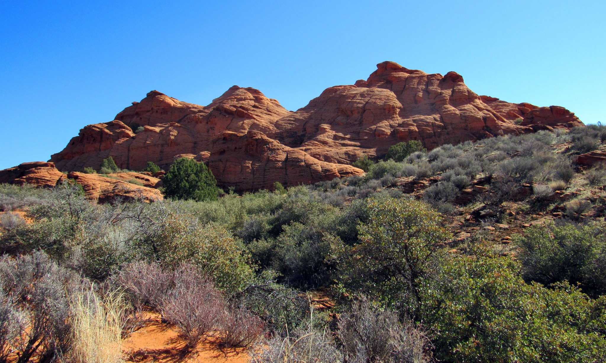 Utah Adventures with Maverik: Everything you need to know about visiting Snow Canyon
