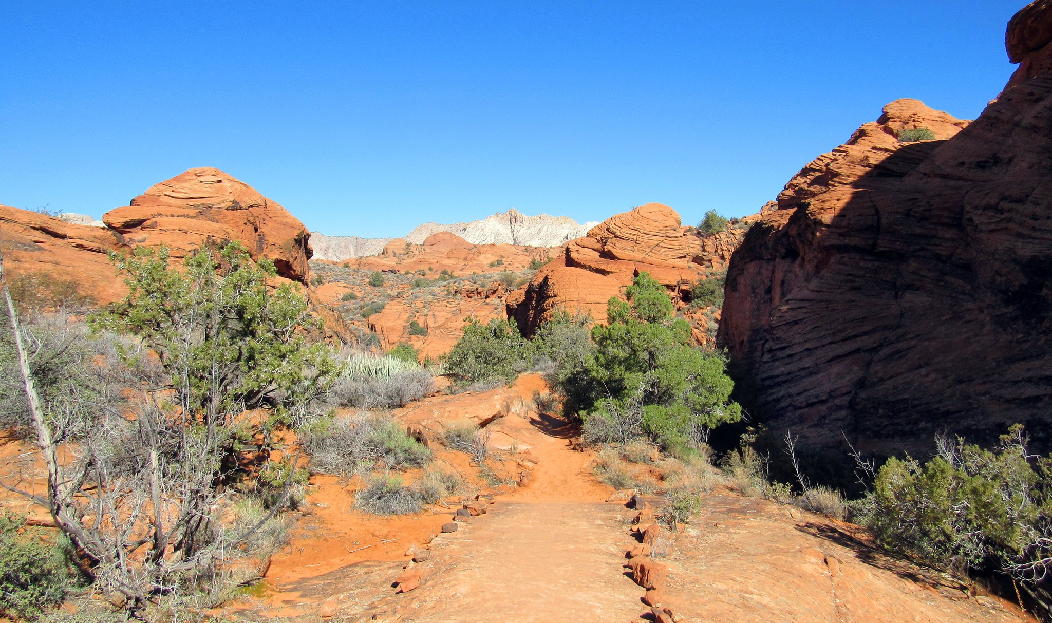 Utah Adventures with Maverik: Everything you need to know about visiting Snow Canyon