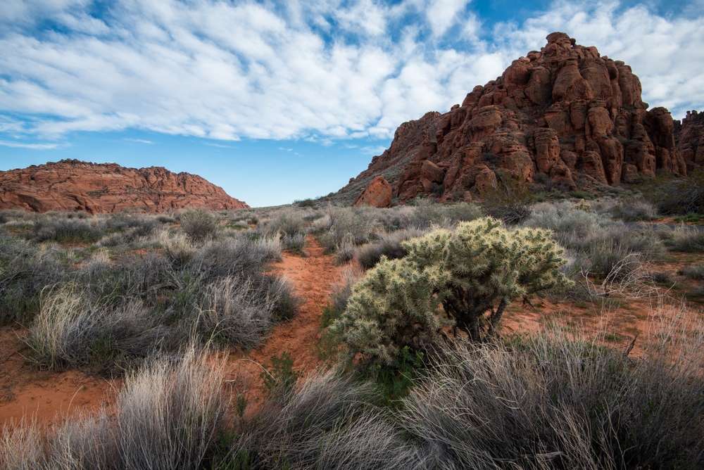 Utah Adventures with Maverik: Everything you need to know about visiting Snow Canyon