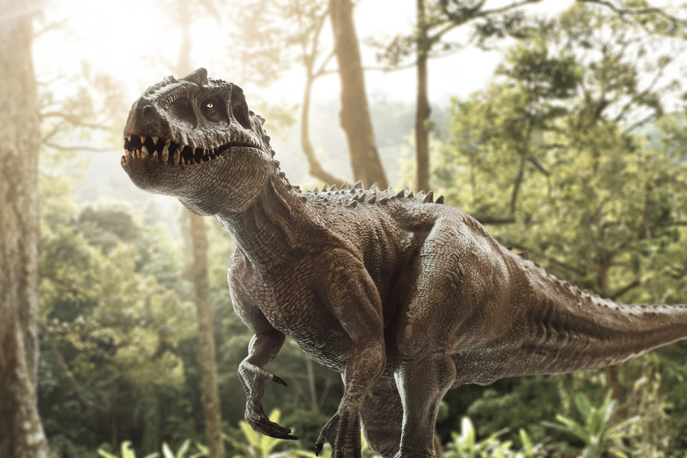 QUIZ: How much do you know about dinosaurs?