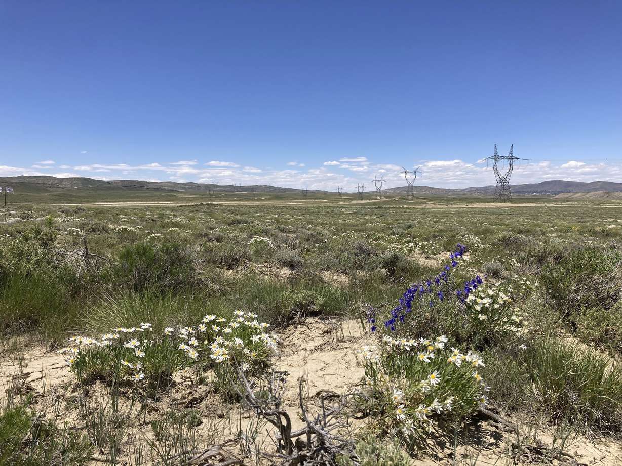 The future route of the TransWest Express transmission line is seen Tuesday south of Rawlins, Wyo. The transmission line will partly parallel the PacifiCorp Gateway West transmission system, seen in the background, moving electricity from a planned 600-turbine wind farm to California.