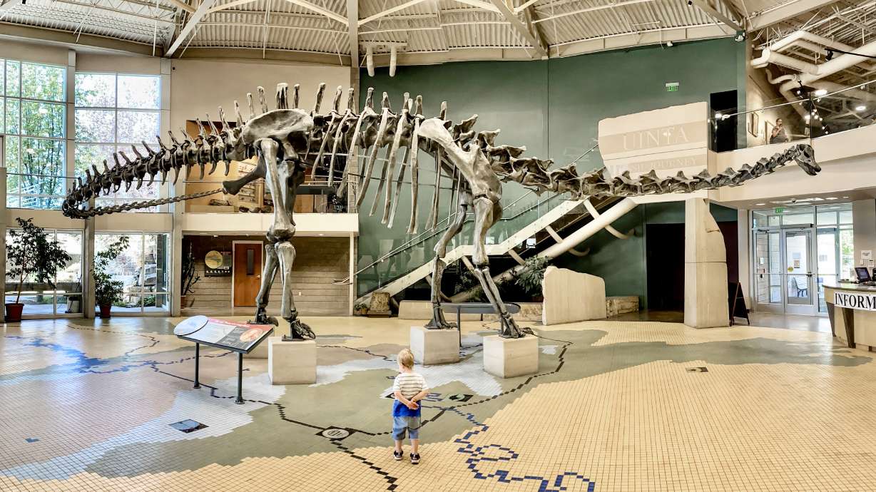 A 90-foot-long diplodocus skeleton greets visitors at the Utah Field House of Natural History State Park Museum.