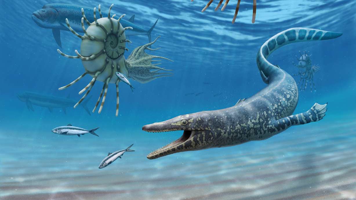 A rendering of a mosasaur, a prehistoric marine reptile that went extinct millions of years ago. A set of mosasaur fossils found in southern Utah a decade ago are the oldest ever found in North America, according to a new study.