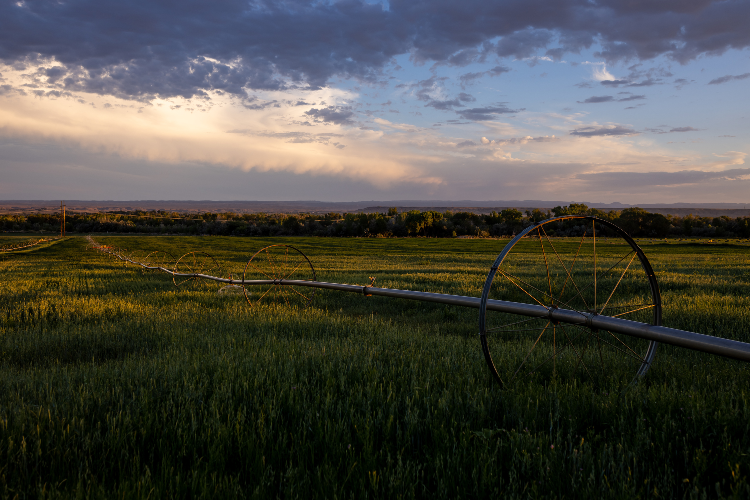 A wheel line irrigation system on property in Duchesne on Wednesday, July 27, 2022. Bactelife is an agriculture-focused company that manufactures and distributes "climate-smart" products for agricultural and commercial use.