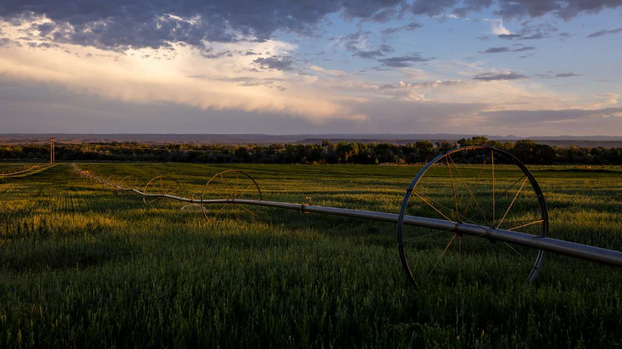 A wheel line irrigation system on property in Duchesne on Wednesday, July 27, 2022. Bactelife is an agriculture-focused company that manufactures and distributes "climate-smart" products for agricultural and commercial use.