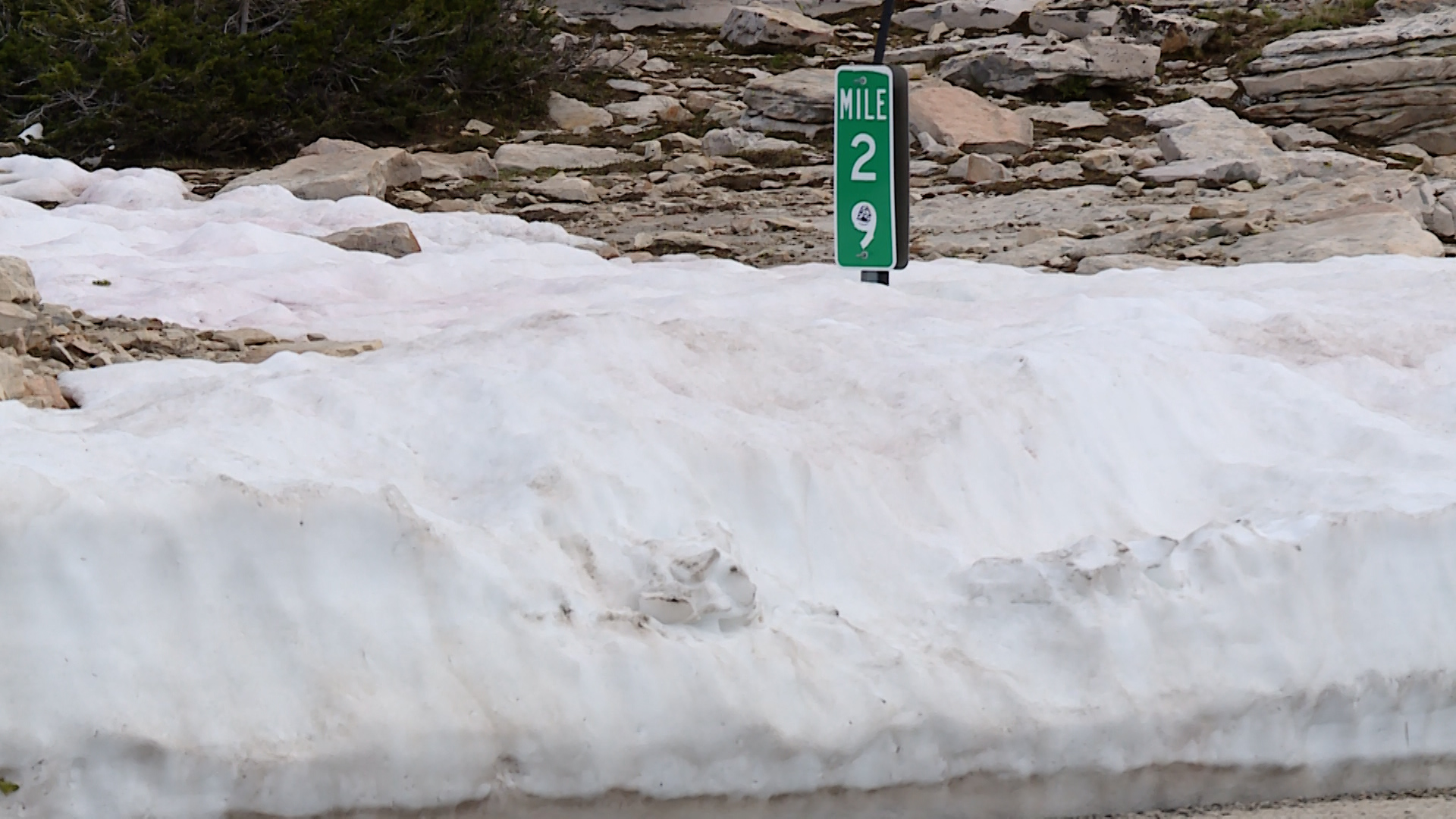 The popular Mirror Lake Highway officially opened this week. Lots of Utahns made the drive up on this first weekend and saw something you don't normally see this late in the year.