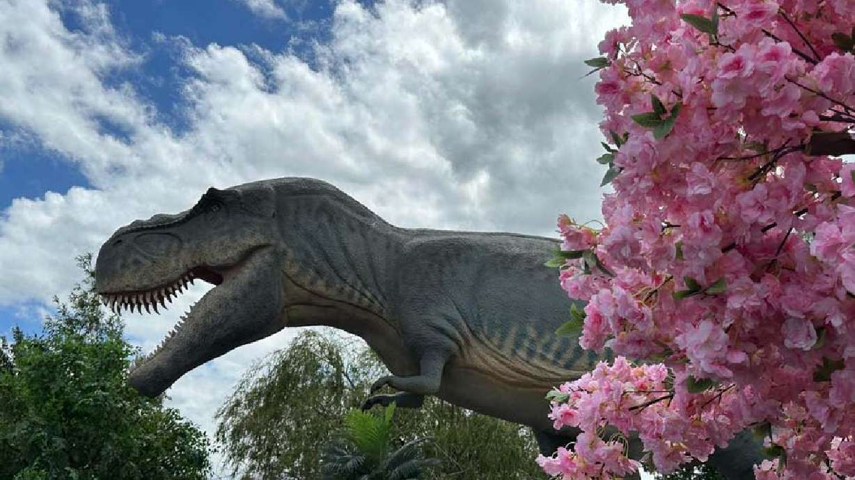 A new dinosaur attraction that opened in Rexburg, Idaho, is taking people back in time.