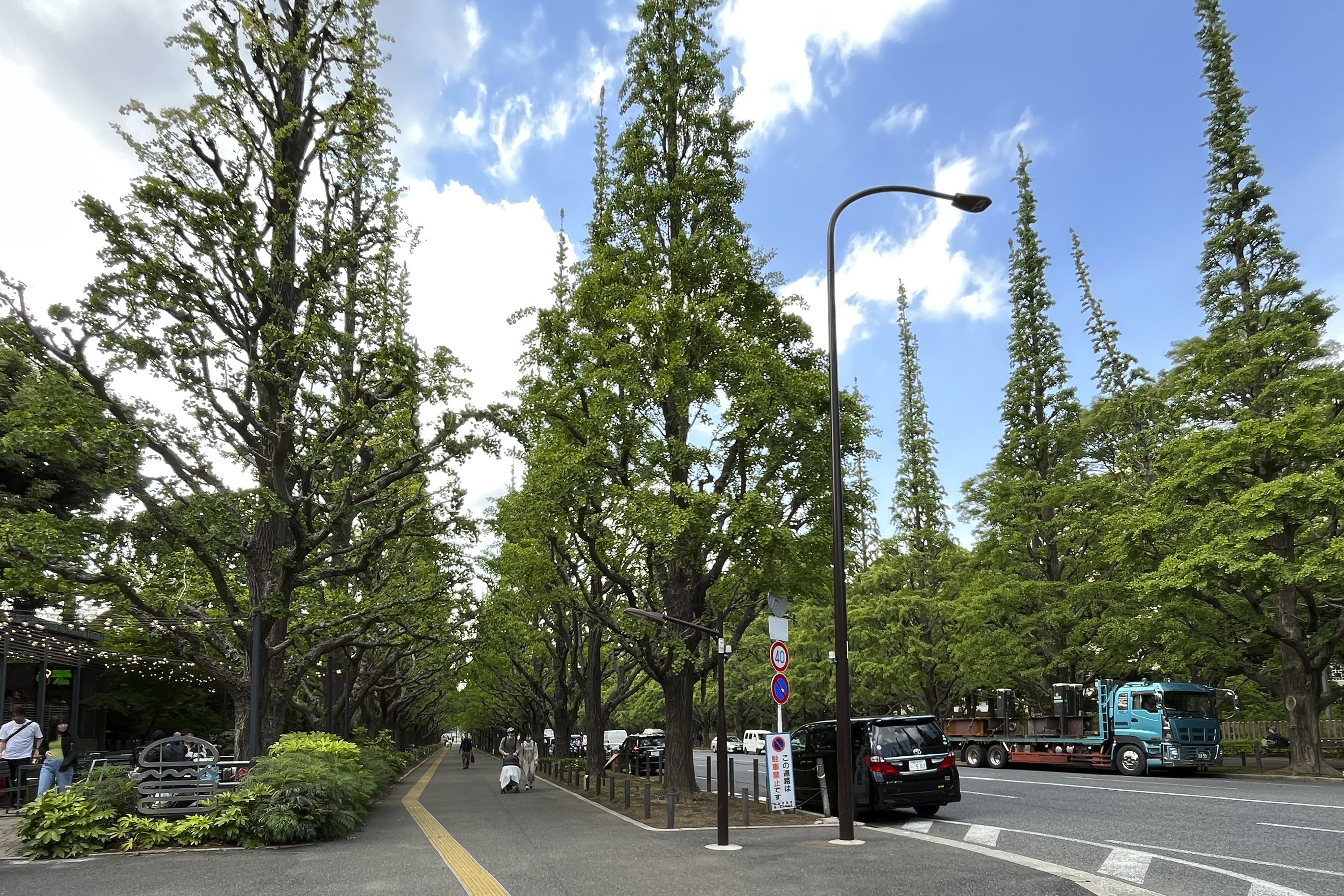 FILE - Ginkgo trees are seen at an area known as Jingu Gaien in Tokyo, May 12, 2023. Japanese author Haruki Murakami spoke up against a controversial redevelopment plan at the heart of Tokyo's beloved historic and green district of Jingu Gaien that would tear down a nearly century-old baseball stadium that inspired him to become a novelist and his favorite running course. 